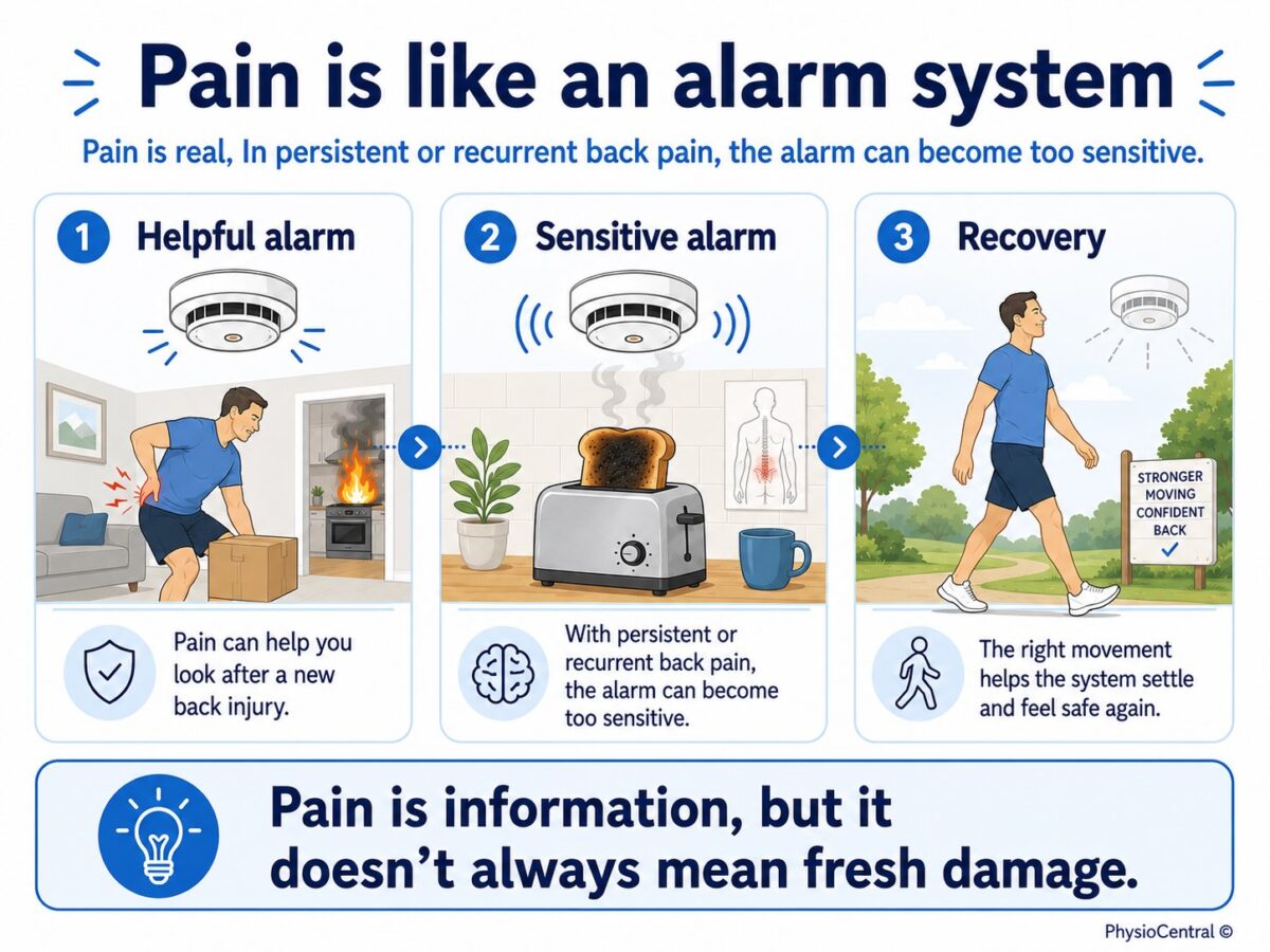 Infographic explaining pain as an alarm system, showing how pain can be helpful after a new back injury, how persistent or recurrent back pain can become too sensitive, and how movement can help recovery.