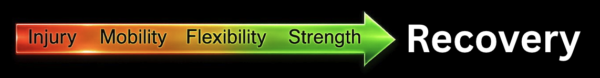 Injury Recovery Process: Healing Phases | PhysioCentral