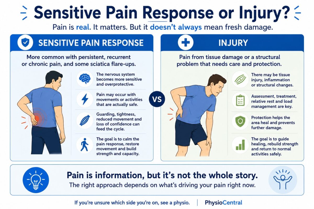 Infographic comparing a sensitive pain response with injury, explaining that persistent or recurrent pain may involve nervous system sensitivity, while injury may involve tissue damage that needs assessment and treatment.