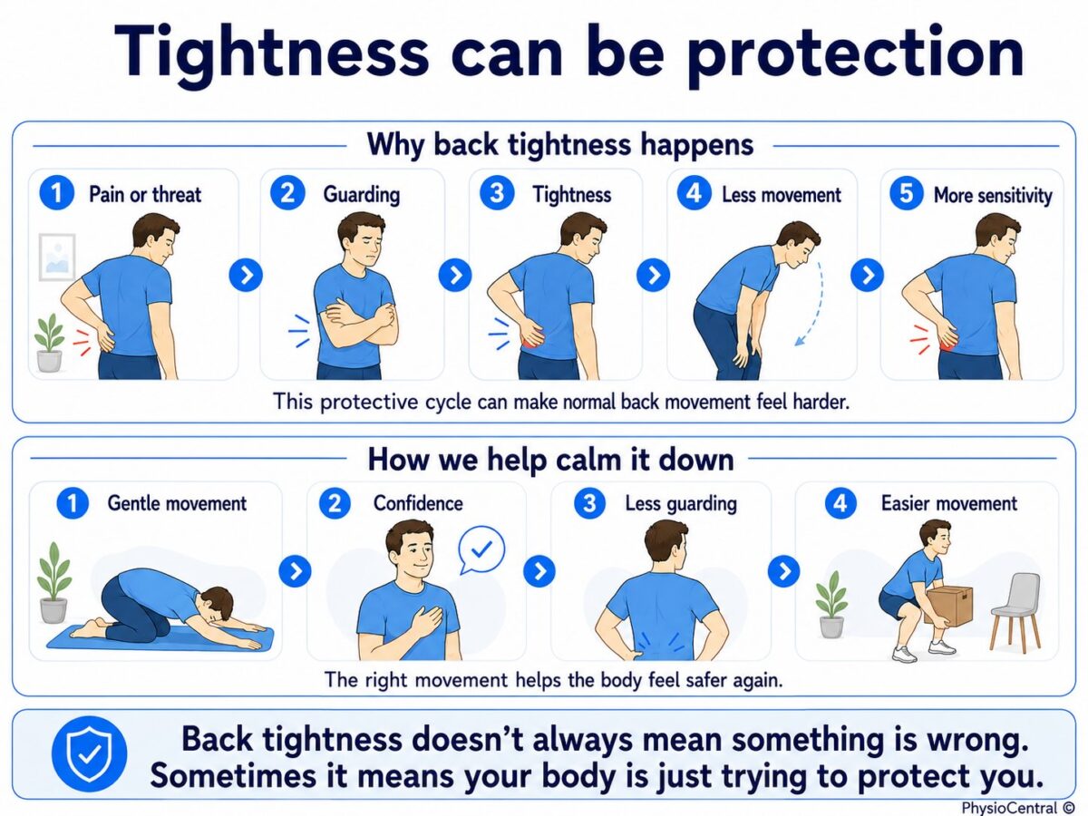 Infographic explaining back tightness as a protective response, showing how pain or threat can lead to guarding, tightness, less movement, and more sensitivity.